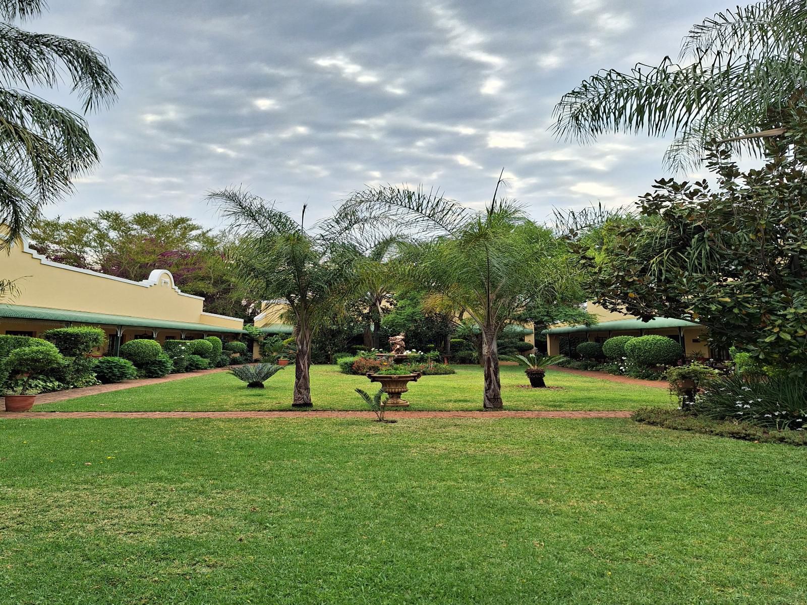 Villa La Pensionne Guest House Akasia Pretoria Tshwane Gauteng South Africa Palm Tree, Plant, Nature, Wood