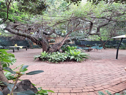 Villa La Pensionne Guest House Akasia Pretoria Tshwane Gauteng South Africa Plant, Nature, Tree, Wood, Garden