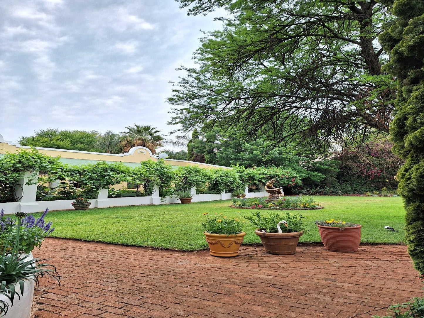 Villa La Pensionne Guest House Akasia Pretoria Tshwane Gauteng South Africa Plant, Nature, Garden