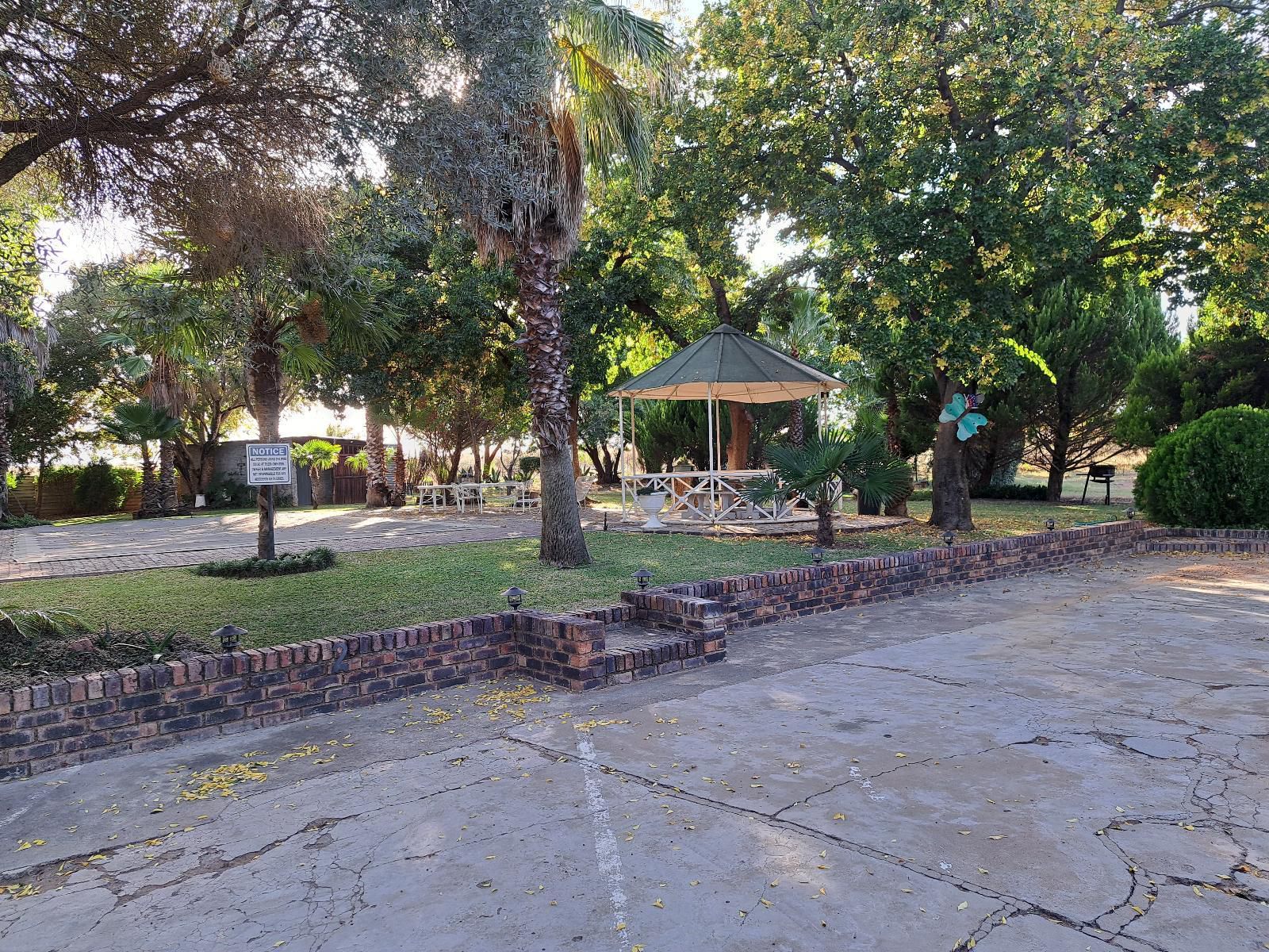 Villa Lin-Zane Guesthouse, Palm Tree, Plant, Nature, Wood, Cemetery, Religion, Grave