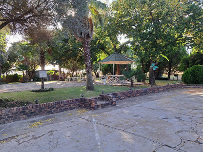 Villa Lin-Zane Guesthouse, Palm Tree, Plant, Nature, Wood, Cemetery, Religion, Grave