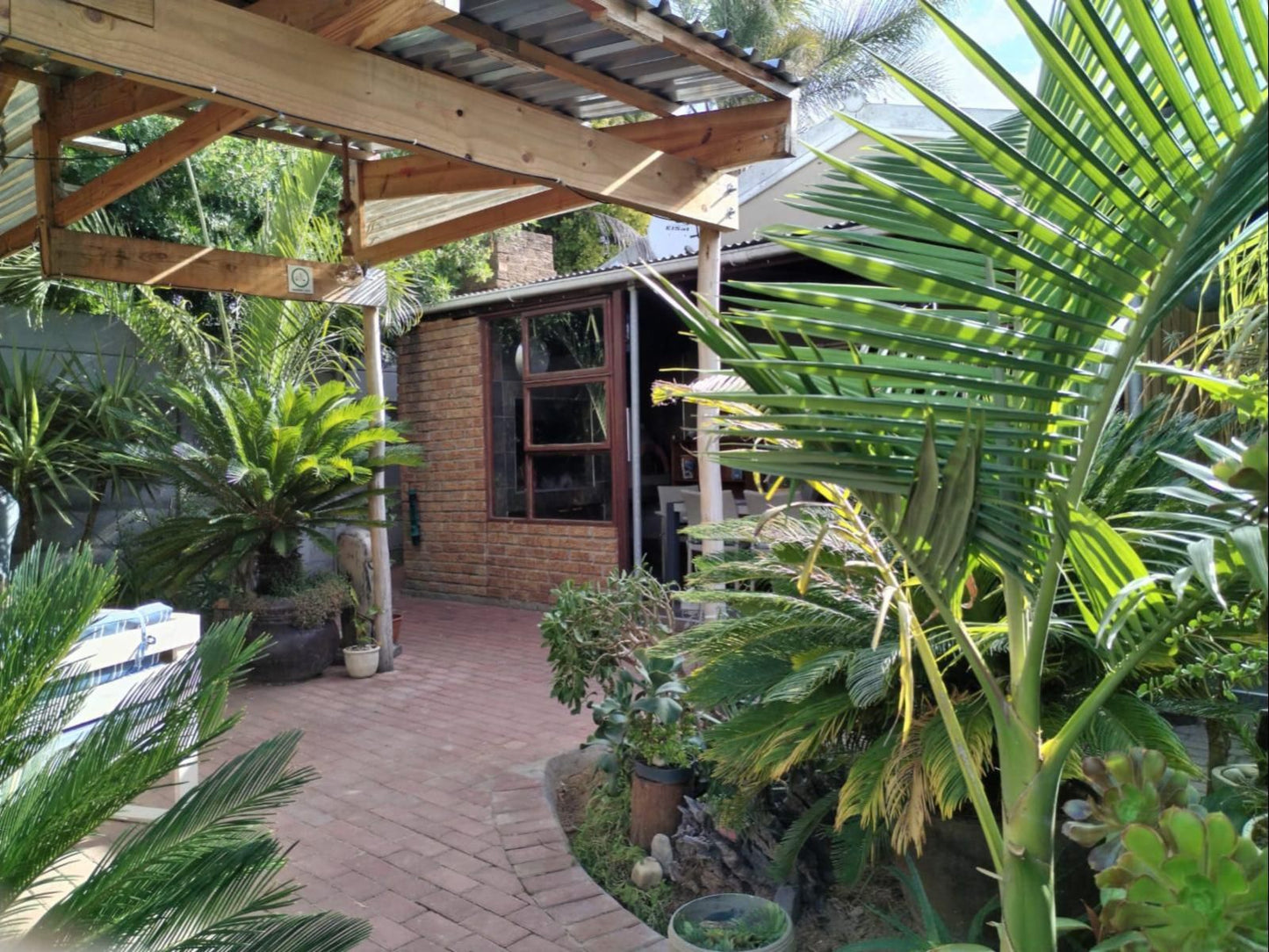 Villa Mariss Guesthouse, Palm Tree, Plant, Nature, Wood, Garden