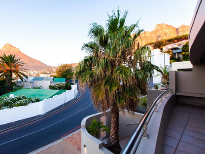 Villa On Slopes Of Geneva Drive Camps Bay Cape Town Western Cape South Africa Complementary Colors, Palm Tree, Plant, Nature, Wood, Street