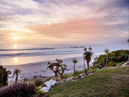 Villa Pescatori, Beach, Nature, Sand, Palm Tree, Plant, Wood, Ocean, Waters, Sunset, Sky