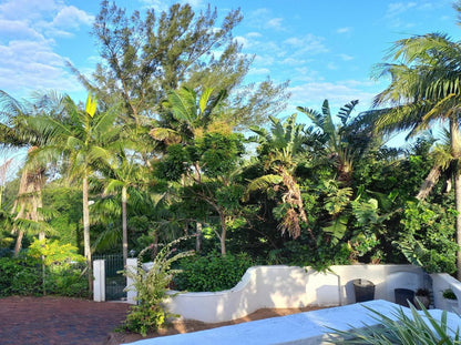 Villa Roc Umhlali Beach Ballito Kwazulu Natal South Africa Complementary Colors, Palm Tree, Plant, Nature, Wood, Garden