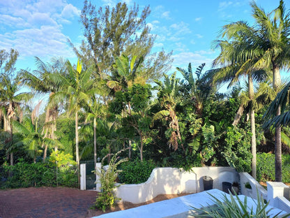 Villa Roc Umhlali Beach Ballito Kwazulu Natal South Africa Complementary Colors, Palm Tree, Plant, Nature, Wood