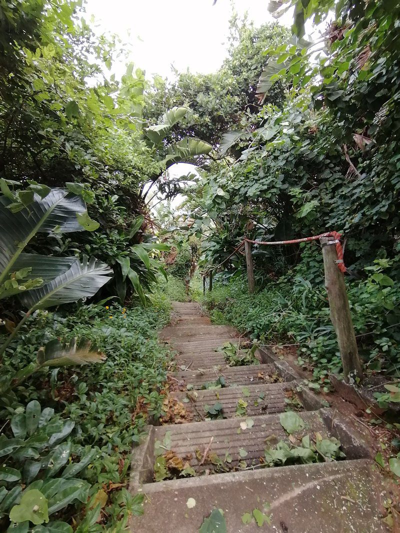 Villa Royale 703 Sheffield Beach Ballito Kwazulu Natal South Africa Stairs, Architecture, Tree, Plant, Nature, Wood, Garden