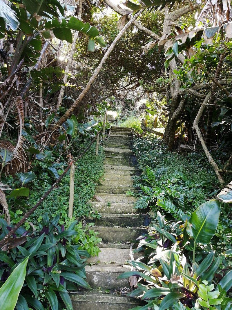 Villa Royale 703 Sheffield Beach Ballito Kwazulu Natal South Africa Plant, Nature, Stairs, Architecture, Tree, Wood, Garden