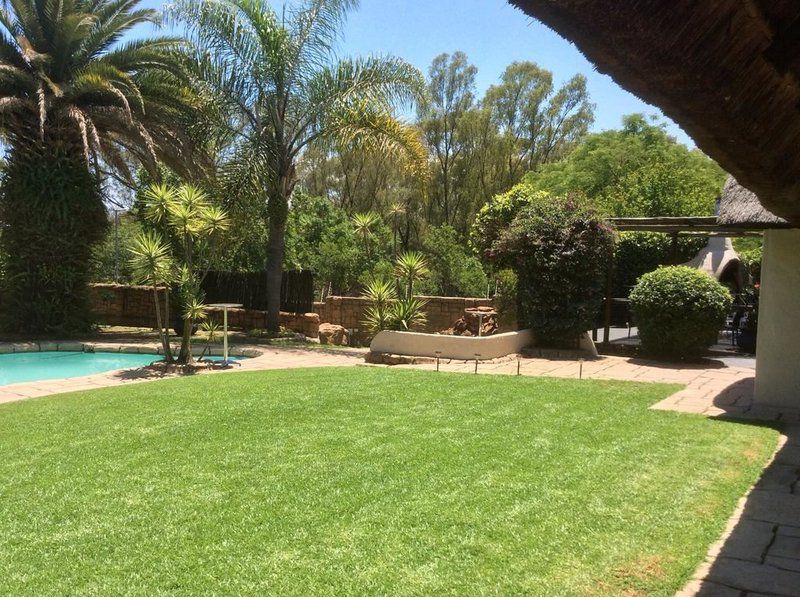 Villa Schreiner Guest House Jukskei Park Johannesburg Gauteng South Africa Palm Tree, Plant, Nature, Wood, Garden, Swimming Pool