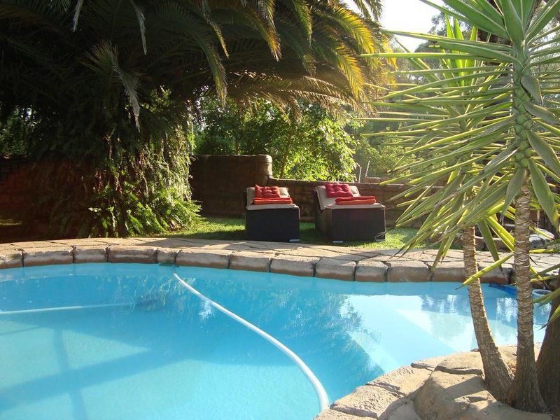 Villa Schreiner Guest House Jukskei Park Johannesburg Gauteng South Africa Complementary Colors, Palm Tree, Plant, Nature, Wood, Garden, Swimming Pool