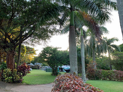 Villa Spa Holiday Resort Illovo Beach Kingsburgh Kwazulu Natal South Africa Palm Tree, Plant, Nature, Wood, Tree, Garden