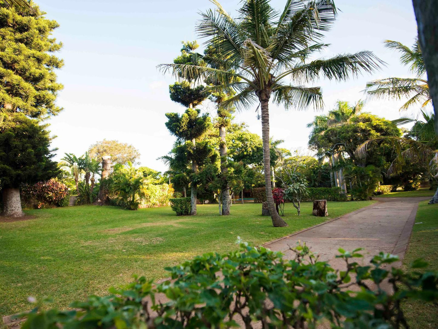 Villa Spa Holiday Resort Illovo Beach Kingsburgh Kwazulu Natal South Africa Beach, Nature, Sand, Palm Tree, Plant, Wood