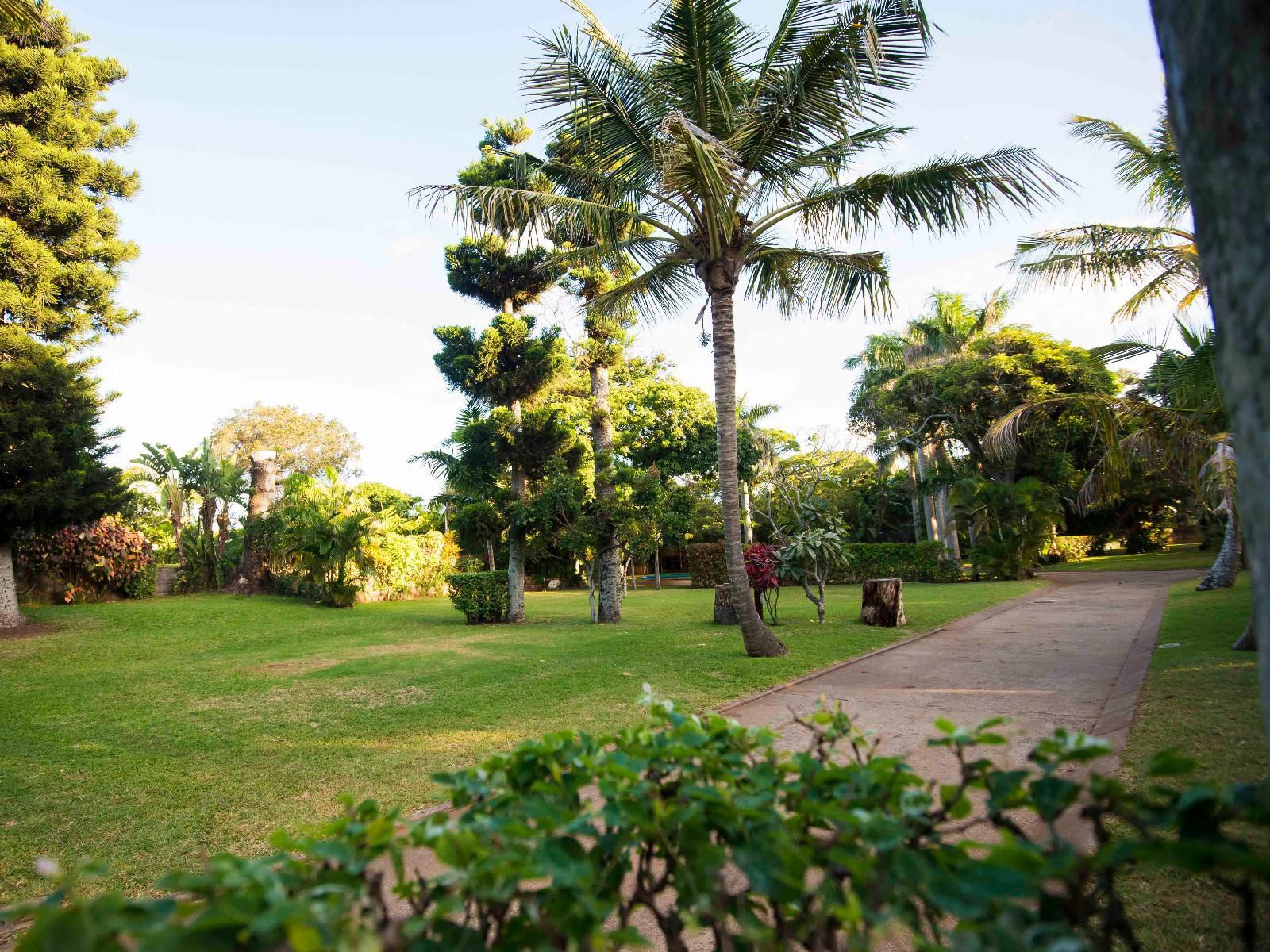 Villa Spa Holiday Resort Illovo Beach Kingsburgh Kwazulu Natal South Africa Beach, Nature, Sand, Palm Tree, Plant, Wood, Garden