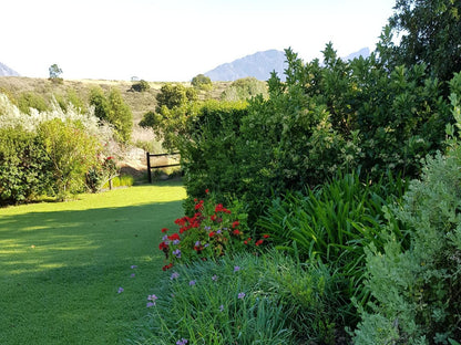 Villa Tarentaal Tulbagh Western Cape South Africa Plant, Nature, Garden