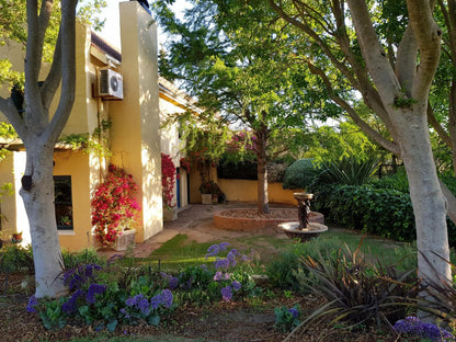 Villa Tarentaal Tulbagh Western Cape South Africa House, Building, Architecture, Palm Tree, Plant, Nature, Wood, Garden