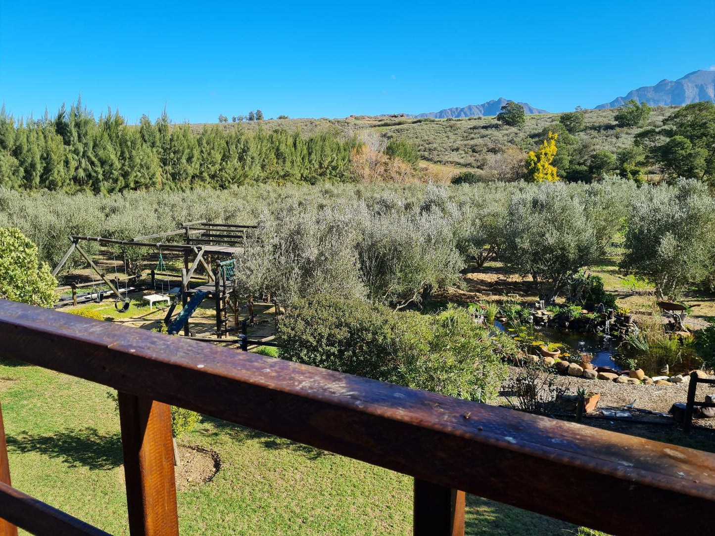 Villa Tarentaal Tulbagh Western Cape South Africa Complementary Colors, Nature