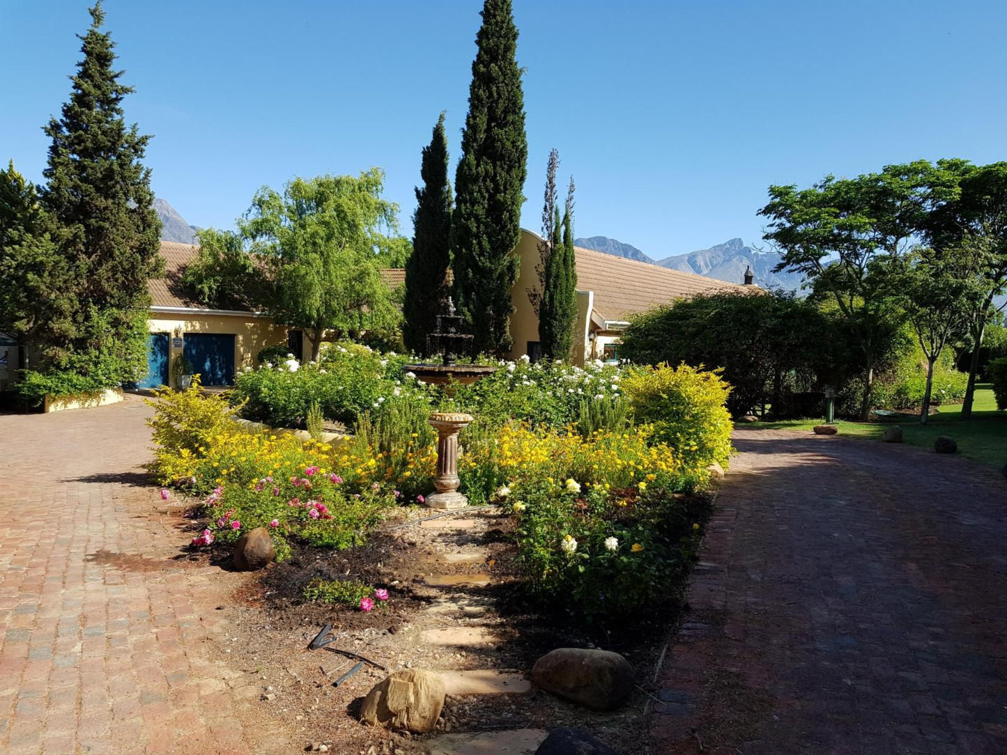 Villa Tarentaal Tulbagh Western Cape South Africa Complementary Colors, Plant, Nature, Garden