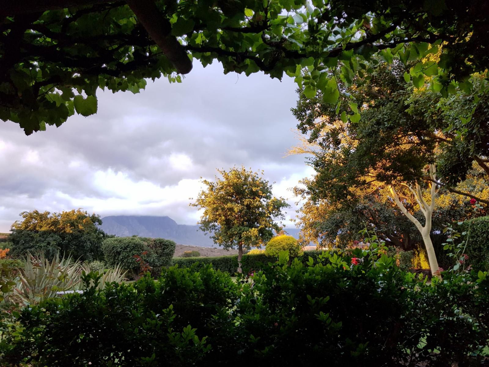 Villa Tarentaal Tulbagh Western Cape South Africa Complementary Colors, Highland, Nature