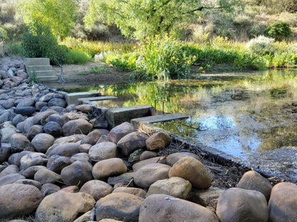 Villa Tarentaal Tulbagh Western Cape South Africa River, Nature, Waters, Garden, Plant