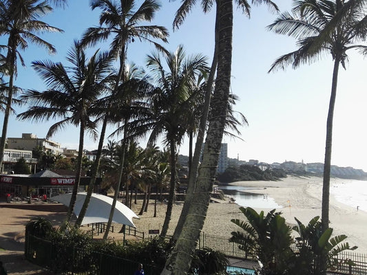 Villa Tropicana Margate North Beach Margate Kwazulu Natal South Africa Beach, Nature, Sand, Palm Tree, Plant, Wood