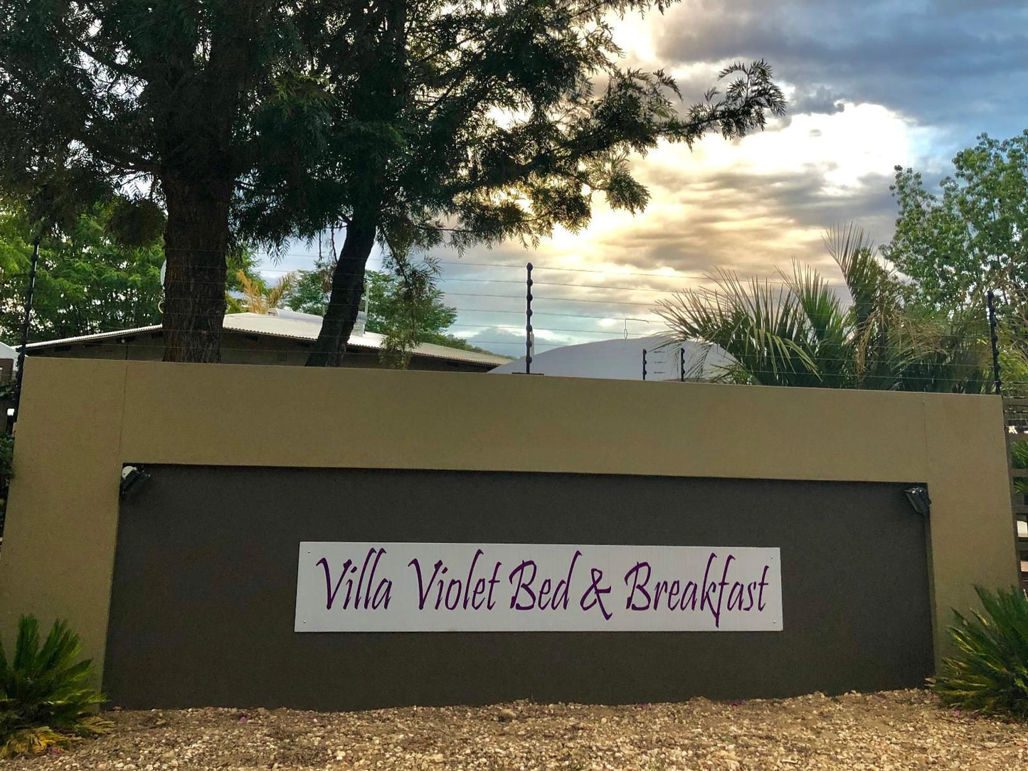 Villa Violet, Palm Tree, Plant, Nature, Wood, Sign, Text, Food