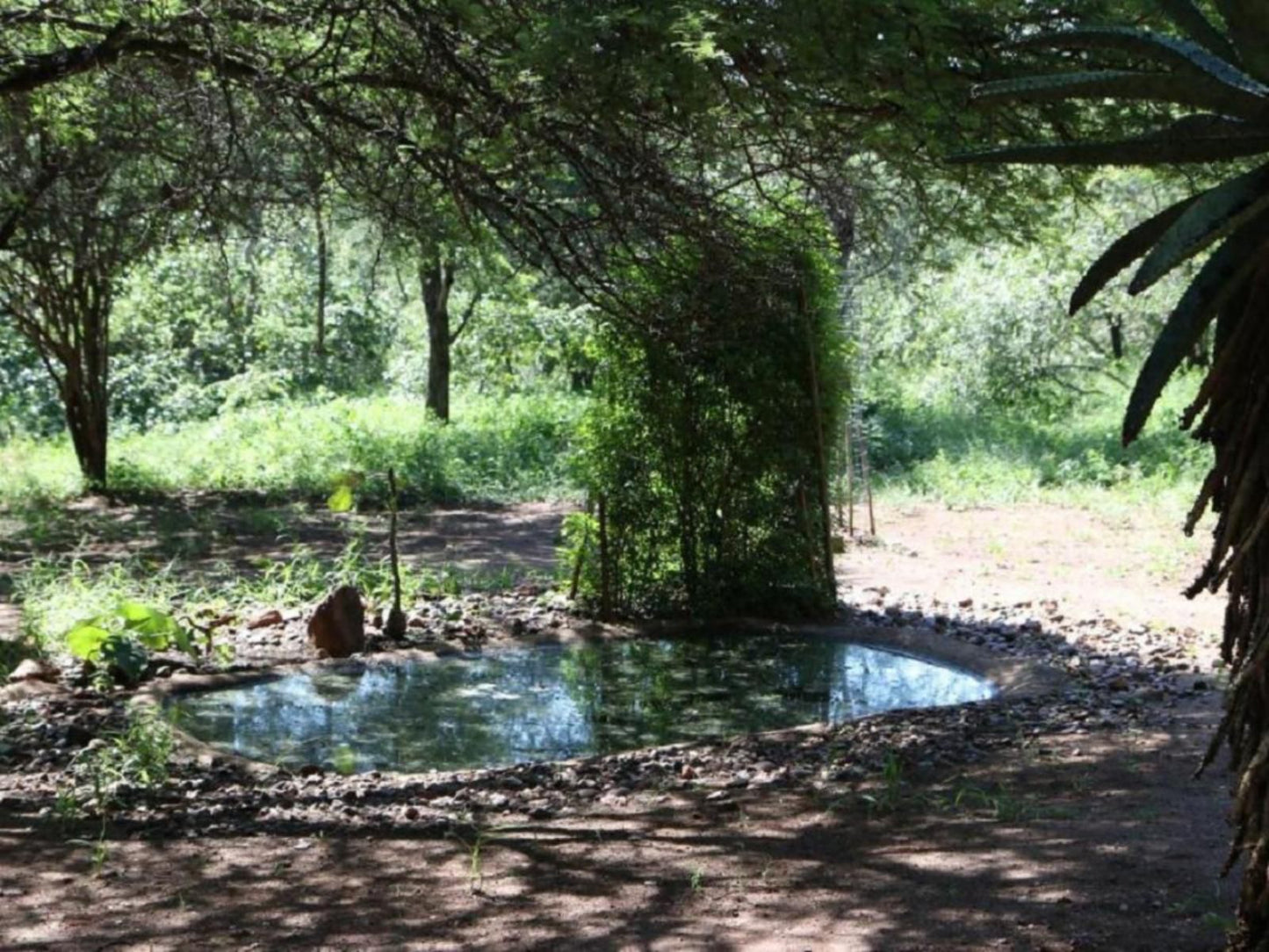 Villa Zazu Marloth Park Mpumalanga South Africa River, Nature, Waters, Tree, Plant, Wood, Garden, Swimming Pool