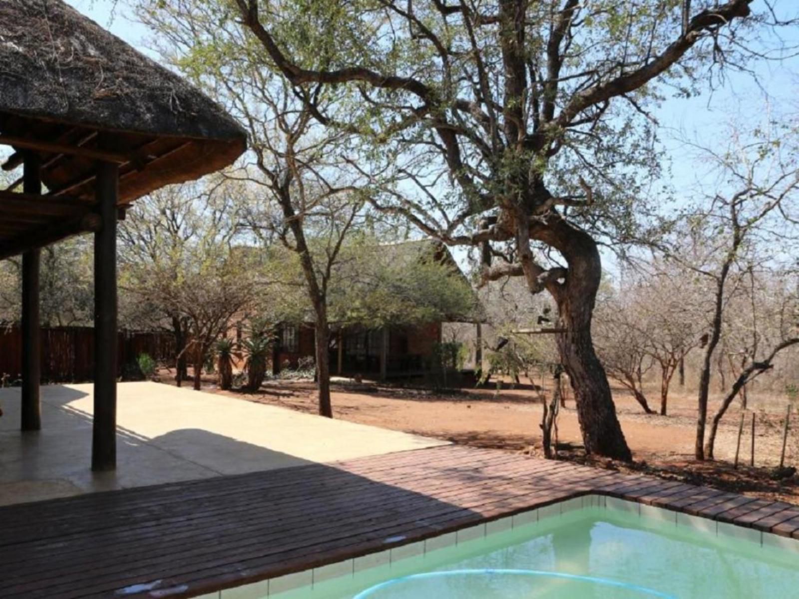 Villa Zazu Marloth Park Mpumalanga South Africa 