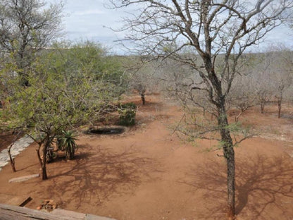 Villa Zazu Marloth Park Mpumalanga South Africa Desert, Nature, Sand