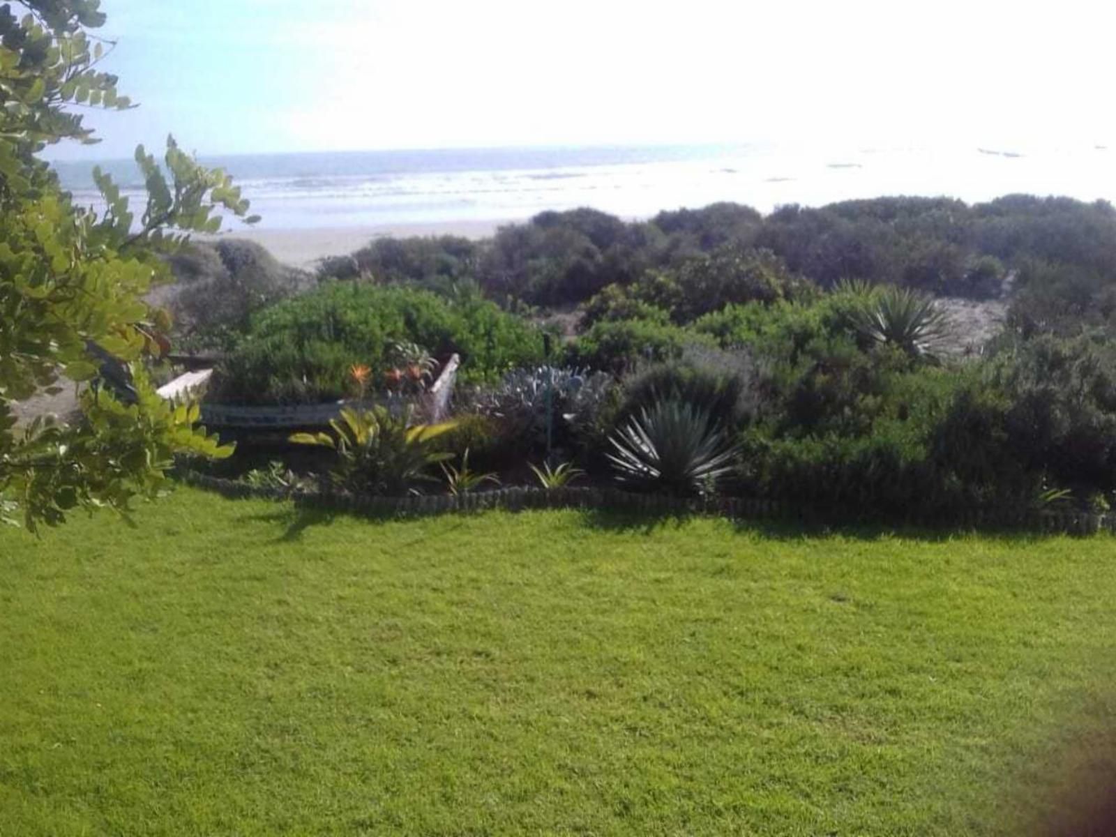 Villa Amore Mosselbank Paternoster Western Cape South Africa Beach, Nature, Sand, Palm Tree, Plant, Wood, Garden