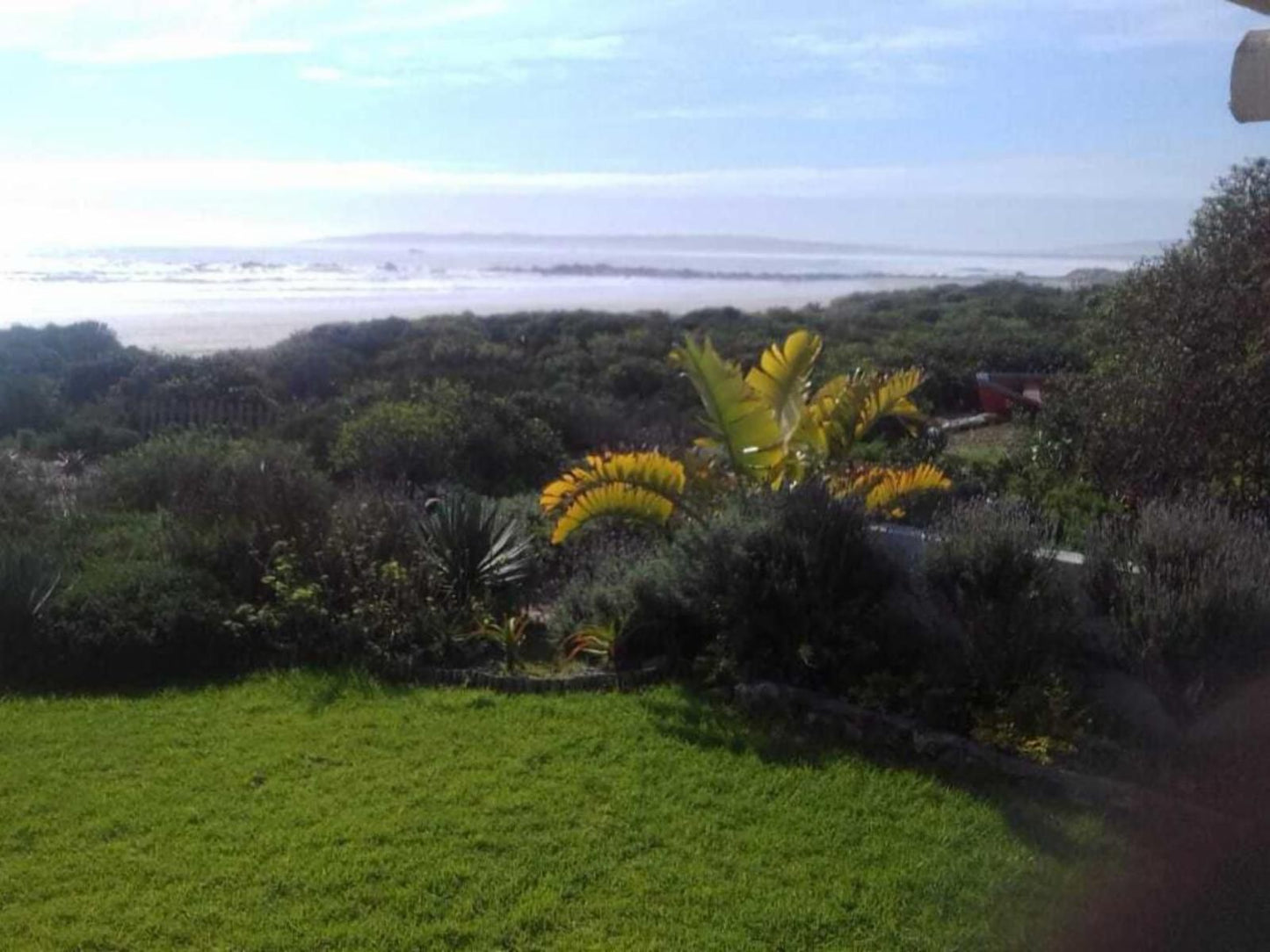 Villa Amore Mosselbank Paternoster Western Cape South Africa Complementary Colors, Beach, Nature, Sand, Palm Tree, Plant, Wood, Garden