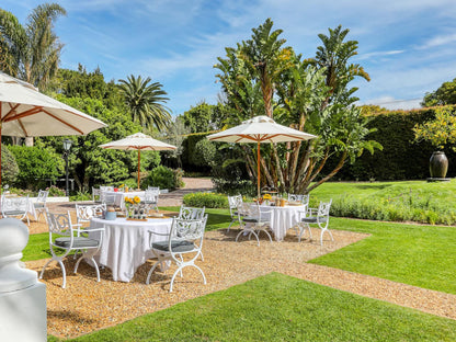 Villa Coloniale Constantia Cape Town Western Cape South Africa Complementary Colors, Palm Tree, Plant, Nature, Wood, Garden