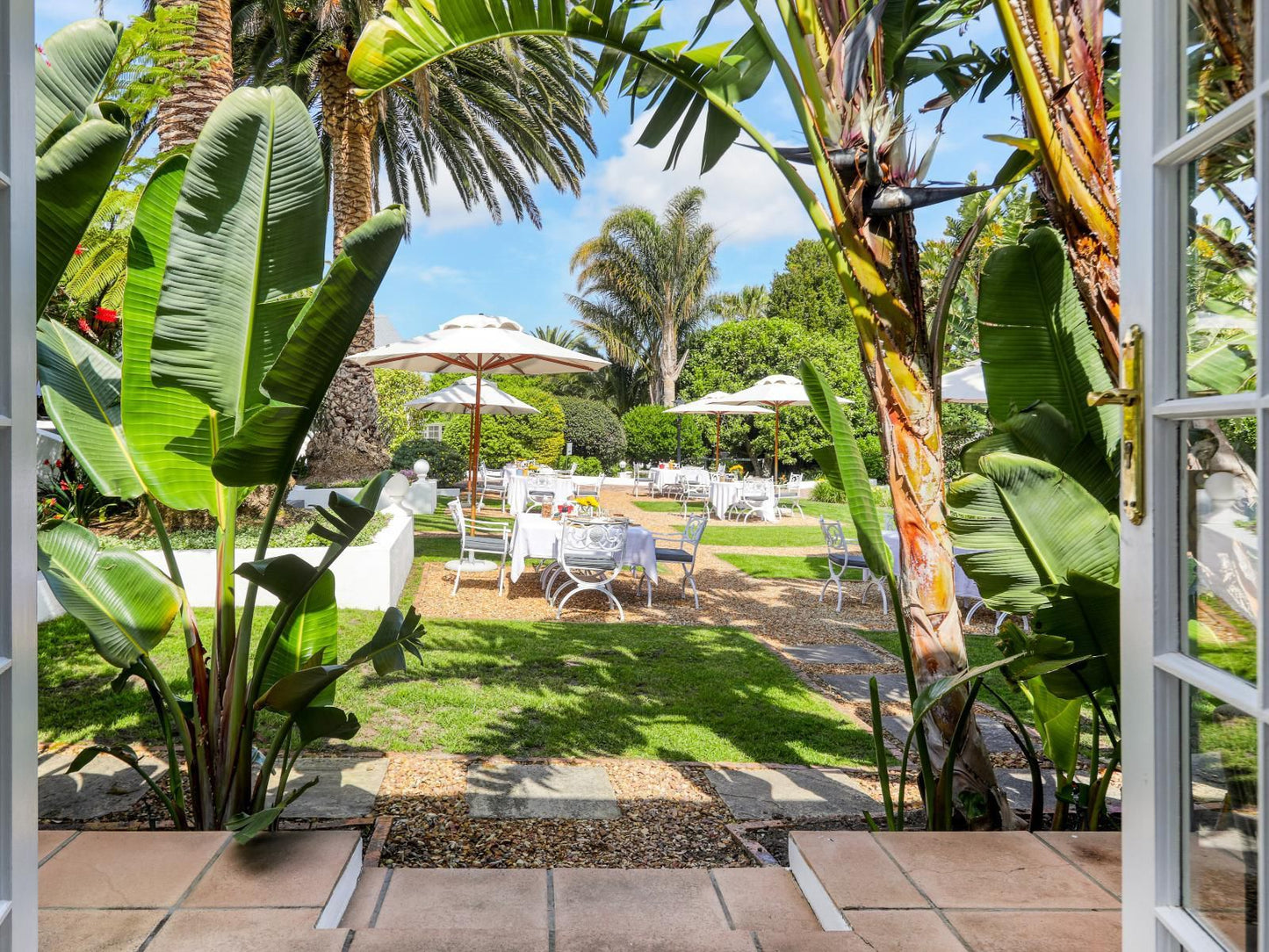 Villa Coloniale Constantia Cape Town Western Cape South Africa Palm Tree, Plant, Nature, Wood, Garden