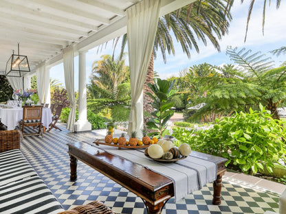 Villa Coloniale Constantia Cape Town Western Cape South Africa Beach, Nature, Sand, Palm Tree, Plant, Wood