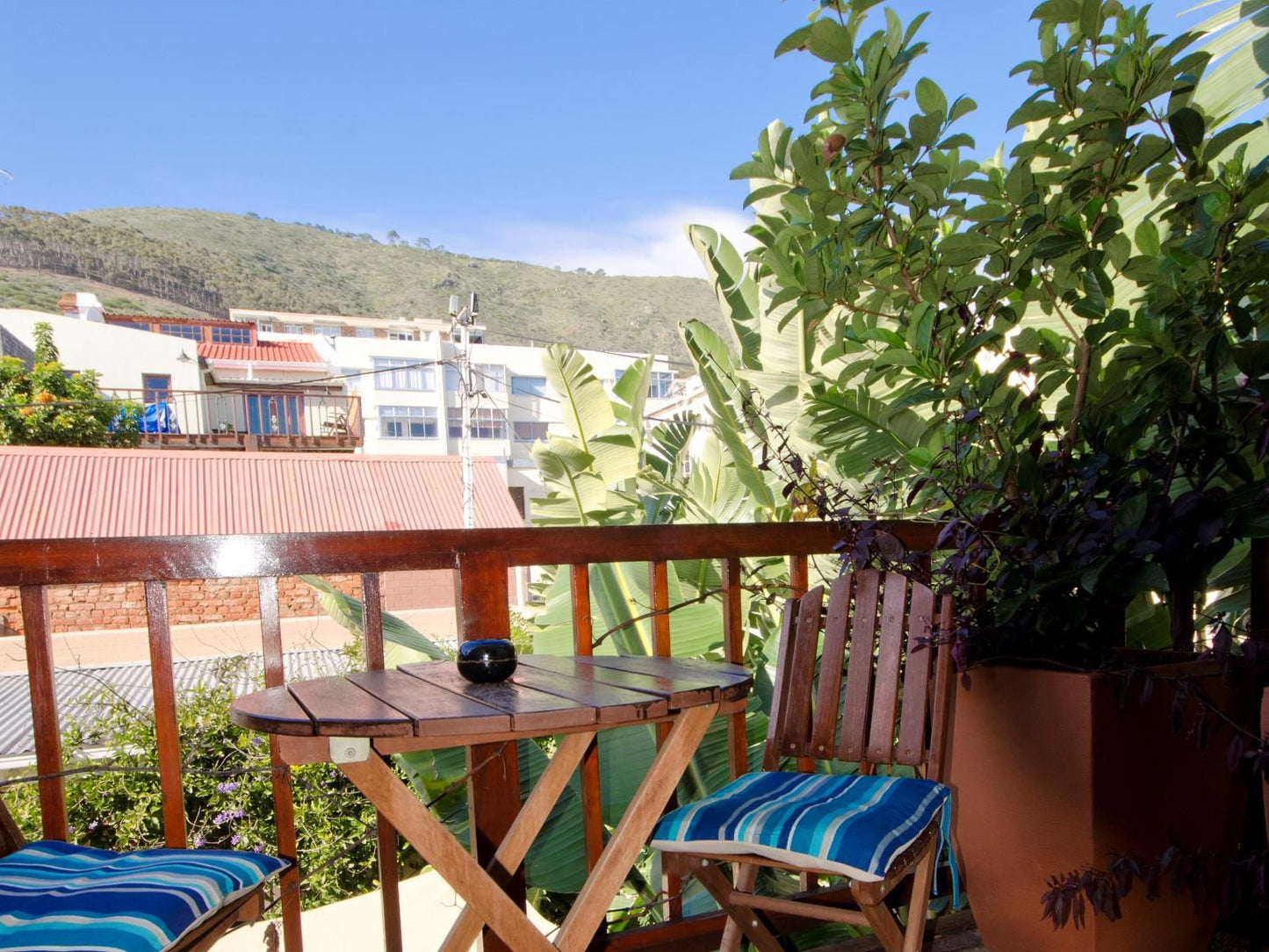 Villa Costa Rose Sea Point Cape Town Western Cape South Africa Complementary Colors, Palm Tree, Plant, Nature, Wood