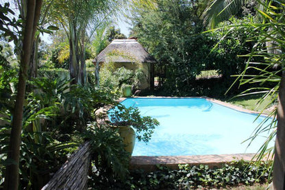 Villa D Anre Muckleneuk Pretoria Tshwane Gauteng South Africa Garden, Nature, Plant, Swimming Pool