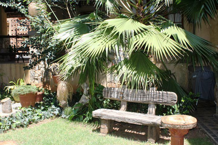 Villa D Anre Muckleneuk Pretoria Tshwane Gauteng South Africa Palm Tree, Plant, Nature, Wood, Garden