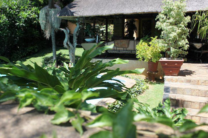 Villa D Anre Muckleneuk Pretoria Tshwane Gauteng South Africa Plant, Nature, Garden
