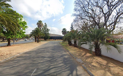 Villa Domenico Bedfordview Johannesburg Gauteng South Africa Palm Tree, Plant, Nature, Wood