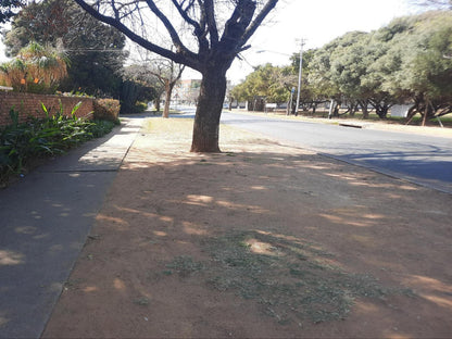 Villa D Rust Guesthouse Wonderboom Pretoria Tshwane Gauteng South Africa Unsaturated, Palm Tree, Plant, Nature, Wood