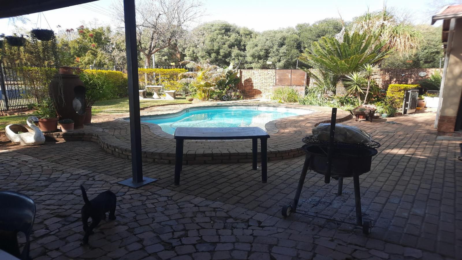 Villa D Rust Guesthouse Wonderboom Pretoria Tshwane Gauteng South Africa Garden, Nature, Plant, Swimming Pool