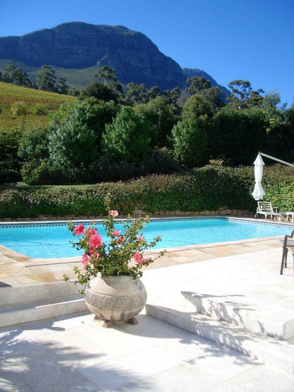 Villa Du Sud Guest Lodge Spanish Farm Ext 1 Somerset West Western Cape South Africa Mountain, Nature, Swimming Pool