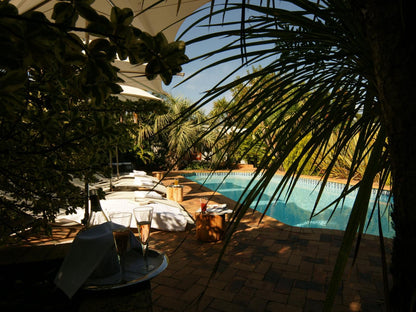 Villa Exner Grabouw Western Cape South Africa Palm Tree, Plant, Nature, Wood, Swimming Pool