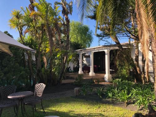 Villa Exner Grabouw Western Cape South Africa Palm Tree, Plant, Nature, Wood
