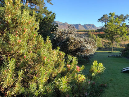 Villa Exner Grabouw Western Cape South Africa Plant, Nature, Garden
