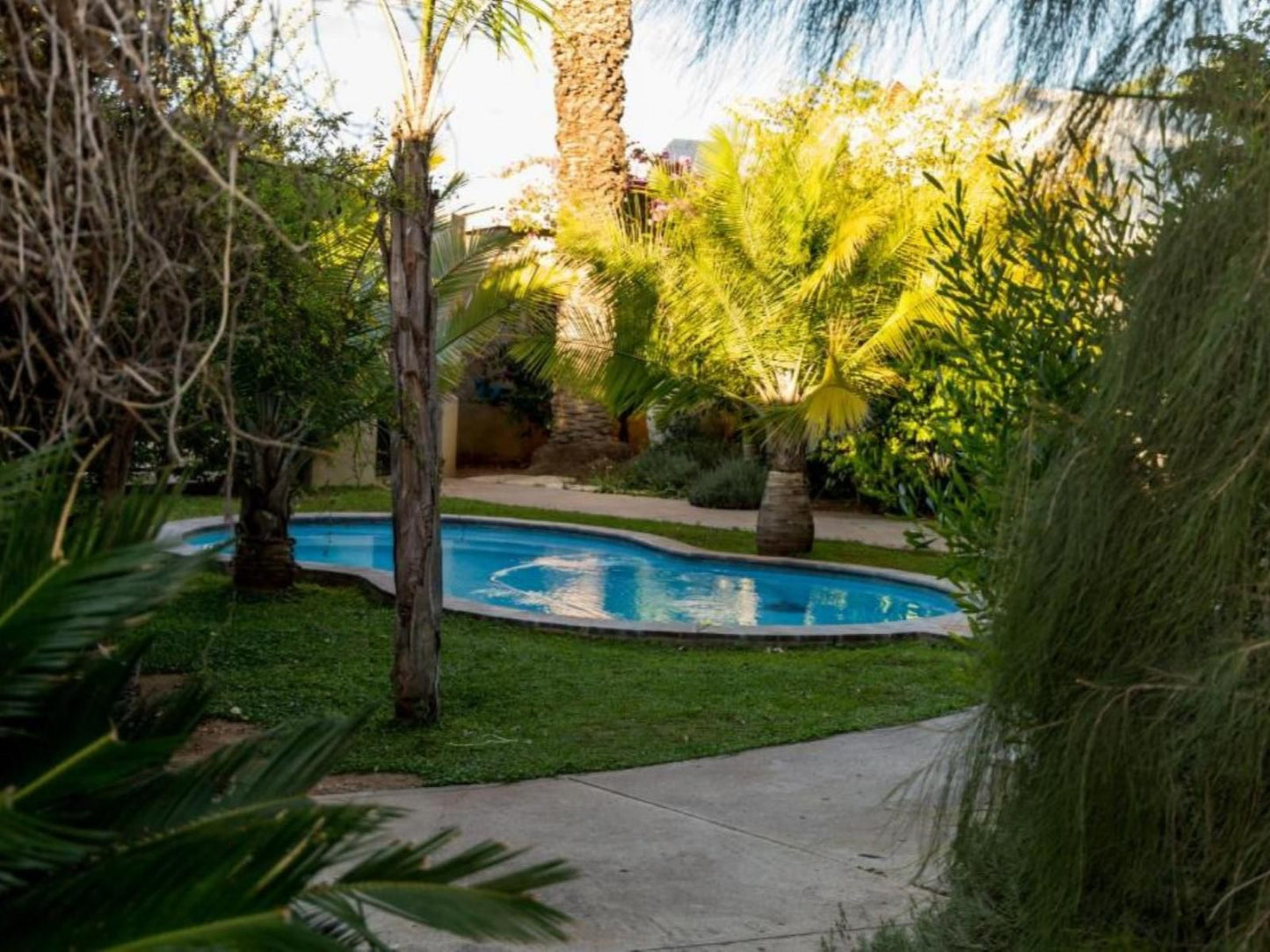 Village Boutique Hotel, Palm Tree, Plant, Nature, Wood, Garden, Swimming Pool