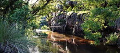 Village D Afrique Intaba Indle Wilderness Estate Bela Bela Warmbaths Limpopo Province South Africa Forest, Nature, Plant, Tree, Wood, River, Waters, Waterfall