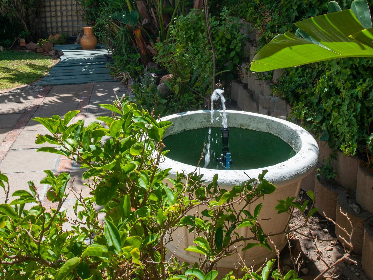 Village Self Catering Apartments Scott Estate Cape Town Western Cape South Africa Bathroom, Garden, Nature, Plant, Swimming Pool