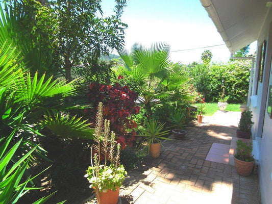 Village Bandb Paradise Knysna Western Cape South Africa Palm Tree, Plant, Nature, Wood, Garden