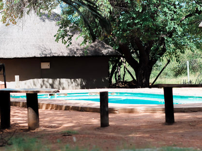 Villa Luso Phalaborwa Limpopo Province South Africa Swimming Pool