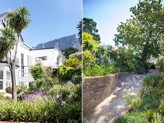 Villa Lutzi Oranjezicht Cape Town Western Cape South Africa Complementary Colors, House, Building, Architecture, Garden, Nature, Plant